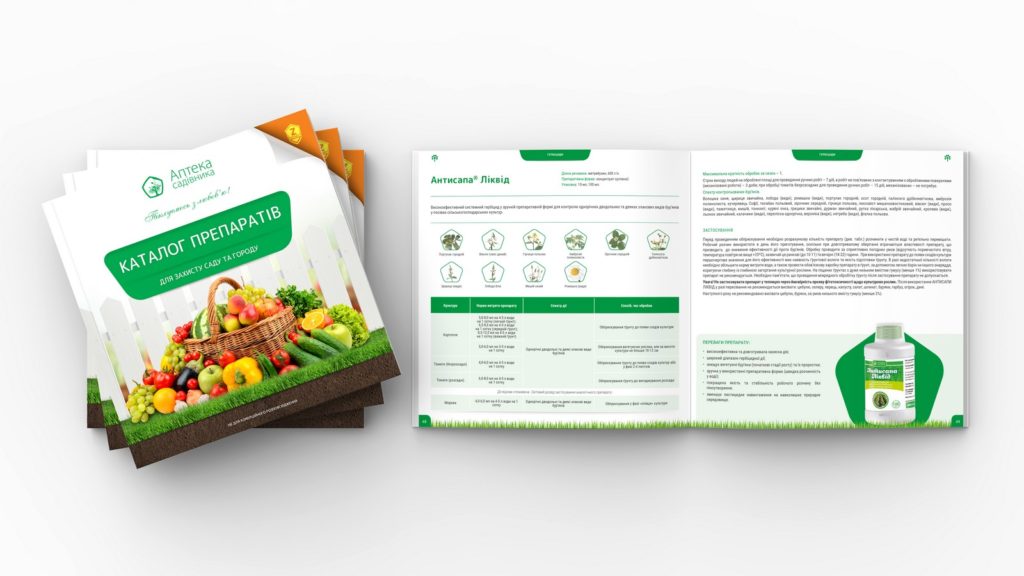 Design Erstellung für einen mehrseitigen Katalog